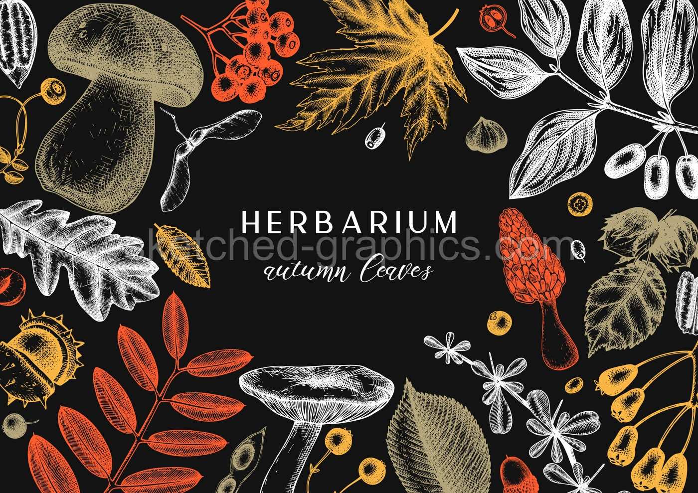 Hand sketched autumn leaves background in color. Elegant botanical template with autumn leaves, berries, seeds, mushrooms sketches. Perfect for invitation, cards, flyers, menu, label, packaging.  Illustration